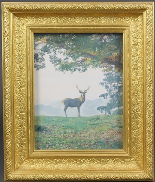 A 20th Century print, a study of a deer in extensive mountainous landscape, unsigned, 17" x 30" 