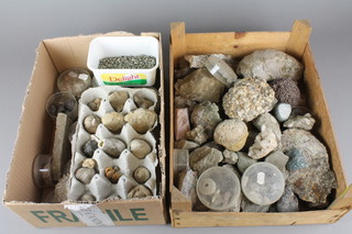 A wooden tray containing various fossils and a box containing various fossils  