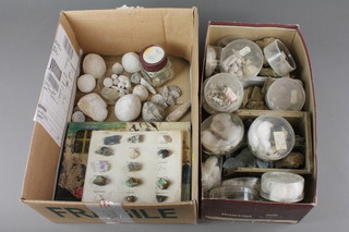 2 boxes of various fossils 