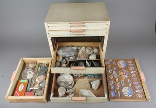 A shallow wooden 8 drawer chest containing a collection of various fossils 