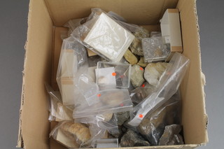 A cardboard box of various mixed fossils