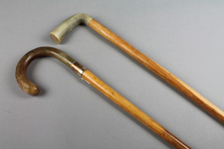An Edwardian walking cane with horn handle and plated collar and 1 other 