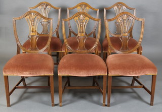 A set of 6 Hepplewhite style mahogany camel back dining chairs, the seats of serpentine outline, on square tapering supports with H framed stretcher