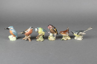 Six Beswick birds - wren 993 2", chaffinch 991 2 1/2", kingfisher 2", bluetit 908 2 1/2", goldfinch 2273 2 1/2" and grey wagtail 1041 2" 
