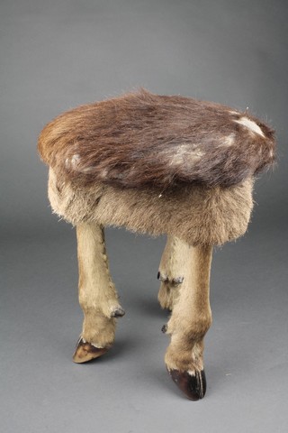A circular stool formed from 3 antelope feet 