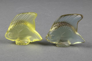 2 modern Lalique glass fish, yellow and pale green 2" (Boxed)