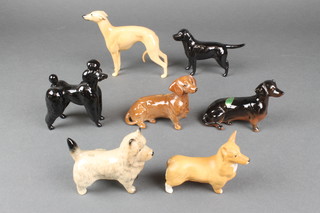 7 Beswick dogs - dachshund 4", terrier 3 1/2", corgi 3", black dachshund 4", black labrador 4 1/2", standard poodle 3 1/2" and whippet 5" 