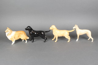 4 Beswick figures of dogs - Lochinvar of Lady Park 8", Jovial Roger 8", a retriever 9" and black labrador 9"  