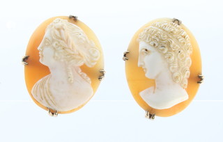 A pair of 9ct gold mounted cameo ear clips