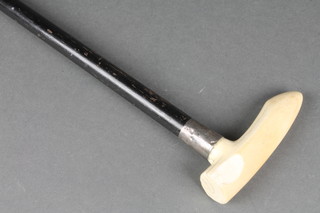 An ebonised walking cane with ivory handle and silver collar