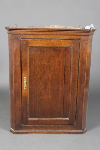 A Georgian Country oak hanging corner cabinet with moulded cornice, the interior fitted shelves enclosed by a panelled door 37"h x 29"w x 16"d