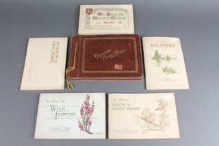 4 albums of Players cigarette cards - sea fishing, birds and their young, kings and queens of England and film stars and a Wills album of wild flowers and 1 other album 