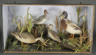 A Victorian arrangement of 4 stuffed ducks contained in naturalistic surroundings 23"h x 41 1/2" x 12"d (no glass to case) 