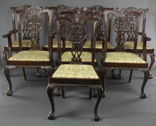 A set of 8 Chippendale style mahogany dining chairs with pierced vase shaped slat backs and upholstered seats, raised on cabriole ball and claw supports