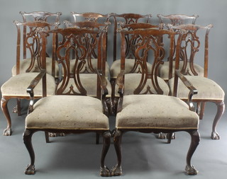 A set of 10 19th Century Chippendale style mahogany dining chairs with vase shaped slat backs, over stuffed seats, raised on cabriole, ball and claw supports, comprising 2 carvers and 8 standard 