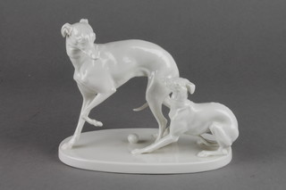A Nymphenburg white glazed figure group of 2 whippets 7" 