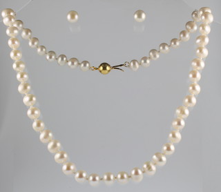A cultured pearl necklace with 14ct yellow gold clasp and a pair of ensuite ear studs