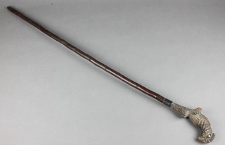A walking cane with carved parrot handle 