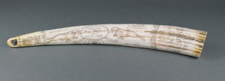 A reproduction Victorian section of scrimshaw 21 1/2" 