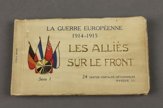 4 French First World War black and white postcards, views of the Eastern Front "Les Allies Sur Le Front" 