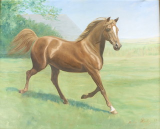Brian Stanley '89, oil painting on canvas, study of a race horse, signed 16" x 19 1/2" 