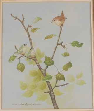 David Andrews, watercolour, wren with 2 gold crests, signed 12" x 10" 