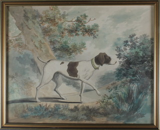 19th Century watercolour, a study of a pointer in a country setting 12" x 14 1/2" 