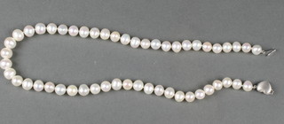 A cultured pearl necklace with 14ct gold heart shaped clasp 17 1/2"  