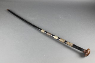 A walking cane with 5 pressed metal badges 