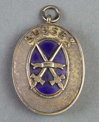 A silver gilt and enamel Provincial Grand Officer jewel 