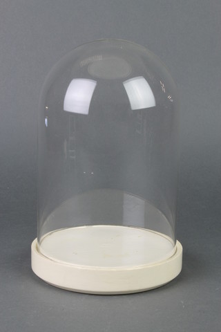 A glass dome 8" x 5 1/2" diam. 