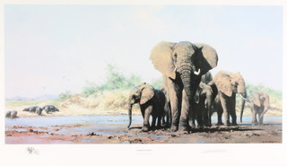 David Shepherd, a print, "Evening in Africa" signed in pencil 15" x 29 1/2" 