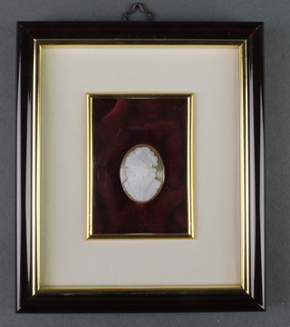 A carved cameo portrait panel 1" x 0.75", framed