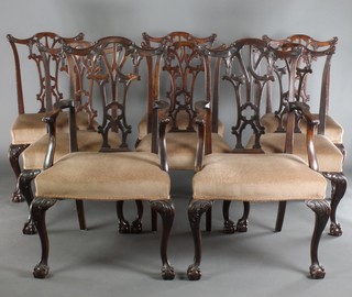 A set of 8 Chippendale style mahogany slat back dining chairs with over stuffed seats, raised on cabriole ball and claw supports 