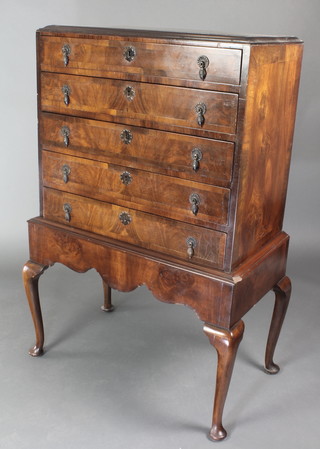 A Queen Anne style walnut chest on stand, the quarter veneered caddy top above 5 long drawers with brass acorn drop handle, raised on cabriole supports 49"h x 30"w x 17"d 