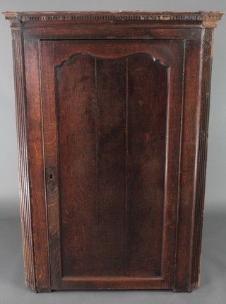 A Georgian oak hanging corner cabinet with moulded and dentil cornice, the shelved interior enclosed by a panelled door 49"h x 34 1/2"w x 18 1/2"d 