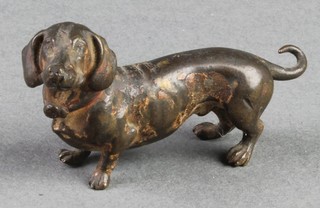 A cold painted bronze figure of a Dachshund 2 1/2" 