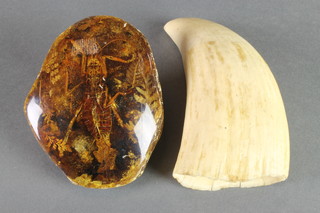 A whales tooth 5" and an amber coloured section of resin set an insect 