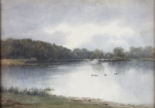 Fred Dixon, a watercolour, a study of ducks at Richmond, signed 10 1/2" x 15" 