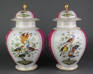 A pair of early 20th Century Dresden  baluster vases with panels of flowers and birds with domed lids 15" 