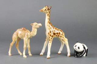A Beswick figure of a standing camel 5 1/2", a ditto of a baby giraffe 7 1/2" and a crawling panda 3" From the Wild Animal Series