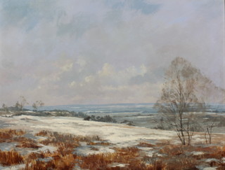 Roy Perry, oil on board, extensive winter rural landscape 20" x 26" 
