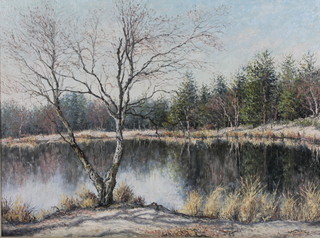 Mervyn Goode '76, an oil on canvas "A Surrey Pond", the moat near Tilford, signed and dated  17 1/2" x 23 1/2" 