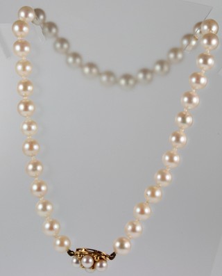 A string of cultured pearls with a 9ct gold pearl set clasp 