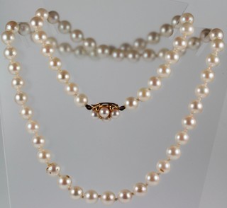 A string of cultured pearls with a pearl and gold set clasp 