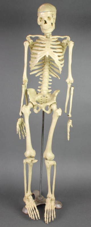 A 1960's plastic skeleton with articulated limbs, raised on a metal retort, some damage to arms and 1 kneecap missing 32" h