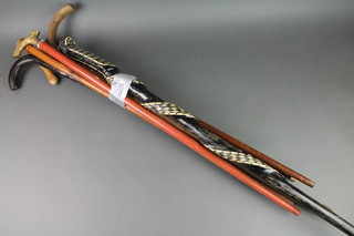 An African hardwood cane with silver band, a turned ebony cane and 5 other sticks