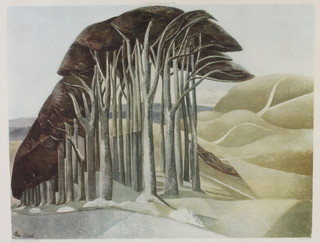 Paul Nash, print, "Wood on the Downs" unsigned 16" x 21" 