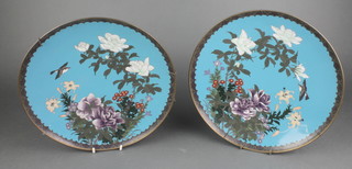A pair of 19th Century circular Japanese blue ground cloisonne chargers decorated birds and flowers 24" 