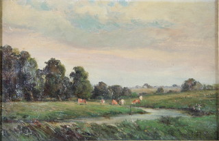 J R D. 19, oil painting on board, a river landscape with cattle, inscribed on verso St Albans 6 1/2" x 10" 